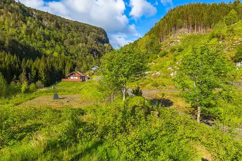 Tomteområdet